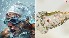 Brain Eating Amoeba : 'সাঁতারেও' হতে পারে এই মস্তিষ্ক-খেকো অ্যামিবার সংক্রমণ ! কেরলে মৃত ১৯, রাজ্যে বহু পজিটিভ কেস, কী কী নজরে রাখবেন ? জানালেন চিকিৎসক