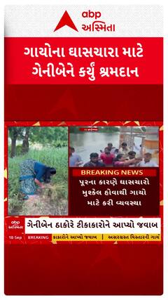 MP Geniben Thakor: પુરગ્રસ્તોની સેવા કરી ગેનીબેન ઠાકોરે ટીકાકારોને આપ્યો સણસણતો જવાબ