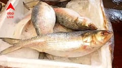 দুর্গাপুজোর আগেই কলকাতায় চলে এলে পদ্মাপারের ইলিশ, 'মাছের রাজা' কত দাম বিকোচ্ছে?