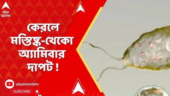 কেরলে মস্তিষ্ক-খেকো অ্যামিবা বা PAM-এর দাপট ! বাড়ছে মৃত্যু, বাড়ছে আক্রান্তের সংখ্যা