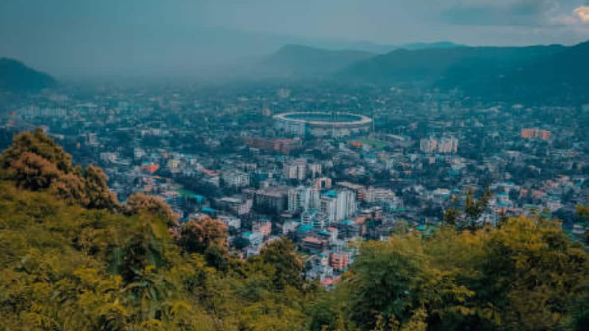 (Image Source: Canva)