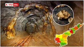 Deccan Gold Mine Company : ఏపీ పంట పండింది - కర్నూలు జిల్లాలో బంగారు గనులు - ఏడాదికి వెయ్యి కేజీలు !