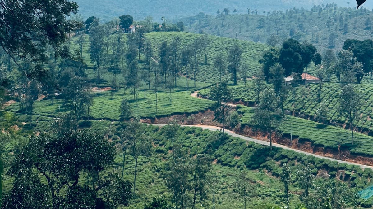 (Image Source: Canva)