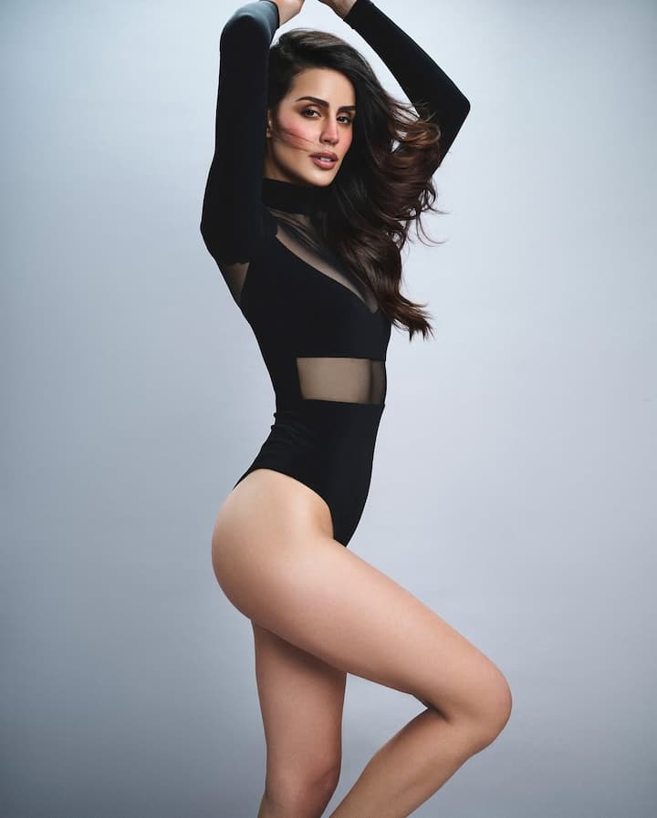 Please tell that Larisa is very active on social media. Where he has millions of followers. At this time, pictures of Larisa are becoming very viral from the premiere of 'Bads of Bollywood'.