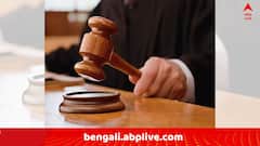 মুর্শিদাবাদে ওয়াকফ অশান্তিতে ক্ষতিপূরণ মামলায় বিরক্ত হাইকোর্ট, পুজো অনুদানের প্রসঙ্গ তুলে ভর্ৎসনা