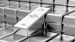 Top Silver Reserve Countries: આ દેશો પાસે છે સૌથી વધુ ચાંદીનો ભંડાર; જાણો ભારતની સ્થિતિ