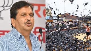 '...तर कबूतरखान्यांसमोर मटण शॉप काढू ' मुंबईत कबूतरखान्यांवरून पुन्हा वादाची ठिणगी ?  लोढांच्या भूमिकेवर कोण मैदानात ?