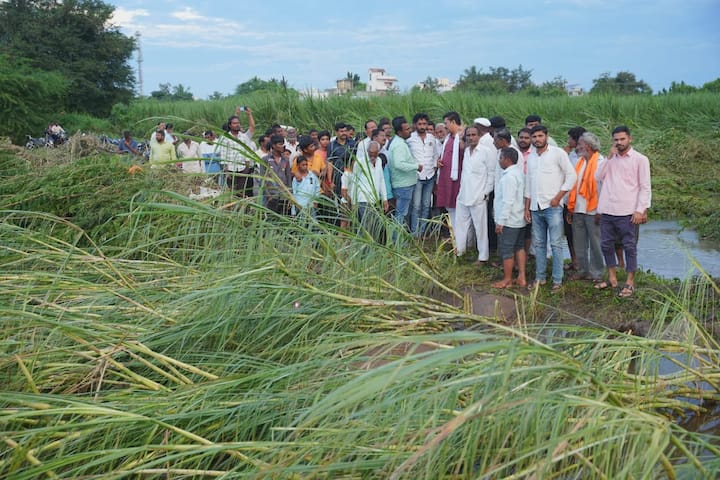 माढा तालुक्यातील सिना नदीला पूर आल्याने पुराचे पाणी पिकात शिरल्याने शेतकरी हवालदिल झाले आहेत. प्रशासनास तत्काळ सरसकट पंचनामे करण्याचे निर्देश माननीय आमदार अभिजीत आबा पाटील यांनी दिले आहेत.