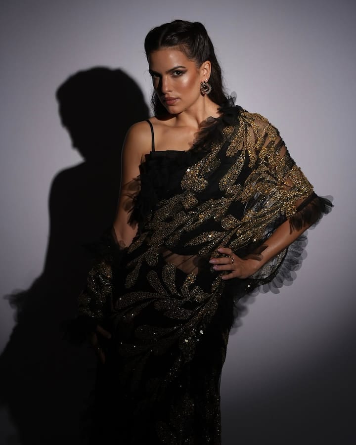 नताशा स्टेनकोविक ने अपना करियर सर्बिया में डांस और मॉडलिंग में शुरू किया था. फिर वो साल 2012 में मुंबई आई और बॉलीवुड में काम करना शुरू कर दिया.