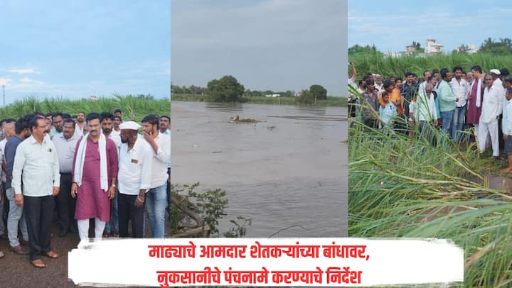 सीना नदीला पूर आल्यामुळं माढा तालुक्यात शेती पिकांचे मोठ्या प्रमाणात नुकसान झाले आहे. नुकसानग्रस्त भागाची आमदार अभिजीत पाटील यांनी आज पाहणी केली.