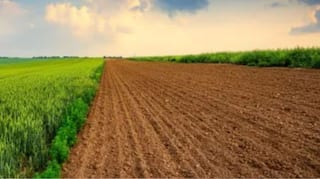 Punjab News: ਪੰਜਾਬ 'ਚ ਜ਼ਮੀਨਾਂ ਨੂੰ ਲੈ ਅਹਿਮ ਖਬਰ, ਜਾਣੋ ਅੰਮ੍ਰਿਤਸਰ-ਗੁਰਦਾਸਪੁਰ ਅਤੇ ਕਪੂਰਥਲਾ ਸਣੇ ਇਨ੍ਹਾਂ ਜ਼ਿਲ੍ਹਿਆਂ ਨੂੰ ਲੈ ਕੀ ਬੋਲੇ ਖੇਤੀਬਾੜੀ ਮੰਤਰੀ...