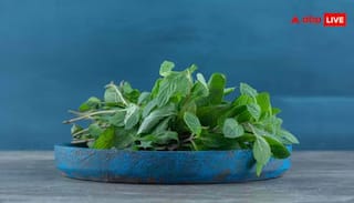 Tulsi Leaves for Health: તુલસીનું એક પાન 100 બીમારીઓની દવા, જાણો તેના ચમત્કારી ફાયદા 