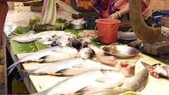 Hilsa Prices Soar As First Consignment Arrives In Tripura From Bangladesh For Durga Puja