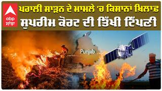 ਪਰਾਲੀ ਸਾੜਨ ਦੇ ਮਾਮਲੇ 'ਚ ਕਿਸਾਨਾਂ ਖ਼ਿਲਾਫ਼  ਸੁਪਰੀਮ ਕੋਰਟ ਦੀ ਤਿੱਖੀ ਟਿੱਪਣੀ