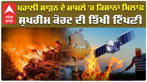 ਪਰਾਲੀ ਸਾੜਨ ਦੇ ਮਾਮਲੇ 'ਚ ਕਿਸਾਨਾਂ ਖ਼ਿਲਾਫ਼ ਸੁਪਰੀਮ ਕੋਰਟ ਦੀ ਤਿੱਖੀ ਟਿੱਪਣੀ