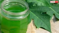 क्या पपीते के पत्ते से बढ़ा सकते हैं प्लेटलेट्स, जानिए क्या कहते हैं एक्सपर्ट?