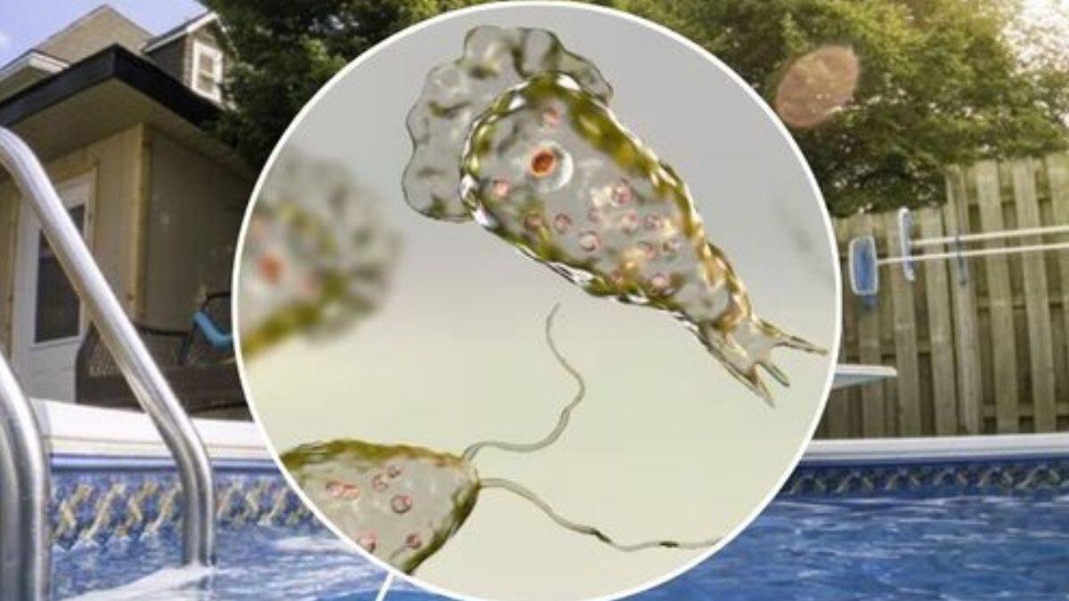 Brain Eating Amoeba: ஏரி, குளங்களுக்கு ”நோ”.. 19 பேரை காவு வாங்கிய அமீபா - பாதுகாப்பாக இருப்பது எப்படி?
