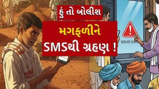 Hun To Bolish : હું તો બોલીશ : મગફળીને SMSથી ગ્રહણ!