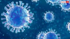 Viral Flu Symptoms: वायरल फ्लू का बढ़ रहा है अटैक, इन लक्षणों को गलती से भी न करें नजरअंदाज