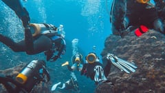 Zubeen Garg Death: 10, 20 या 30 मीटर पानी में कितनी गहराई तक जाते हैं स्कूबा डाइवर्स, जानिए कितना खतरनाक है ये खेल