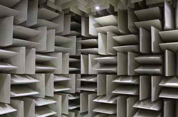 ਦੁਨੀਆ ਦੇ ਇਸ ਸਭ ਤੋਂ ਸ਼ਾਂਤ ਕਮਰੇ ਨੂੰ ਐਨੀਕੋਇਕ ਚੈਂਬਰ ਕਿਹਾ ਜਾਂਦਾ ਹੈ, ਜਿਸਨੂੰ ਮਾਈਕ੍ਰੋਸਾਫਟ ਨੇ ਅਮਰੀਕਾ ਦੇ ਵਾਸ਼ਿੰਗਟਨ ਦੇ ਰੈੱਡਮੰਡ ਸਥਿਤ ਆਪਣੇ ਮੁੱਖ ਦਫਤਰ ਵਿੱਚ ਬਣਾਇਆ ਹੈ।