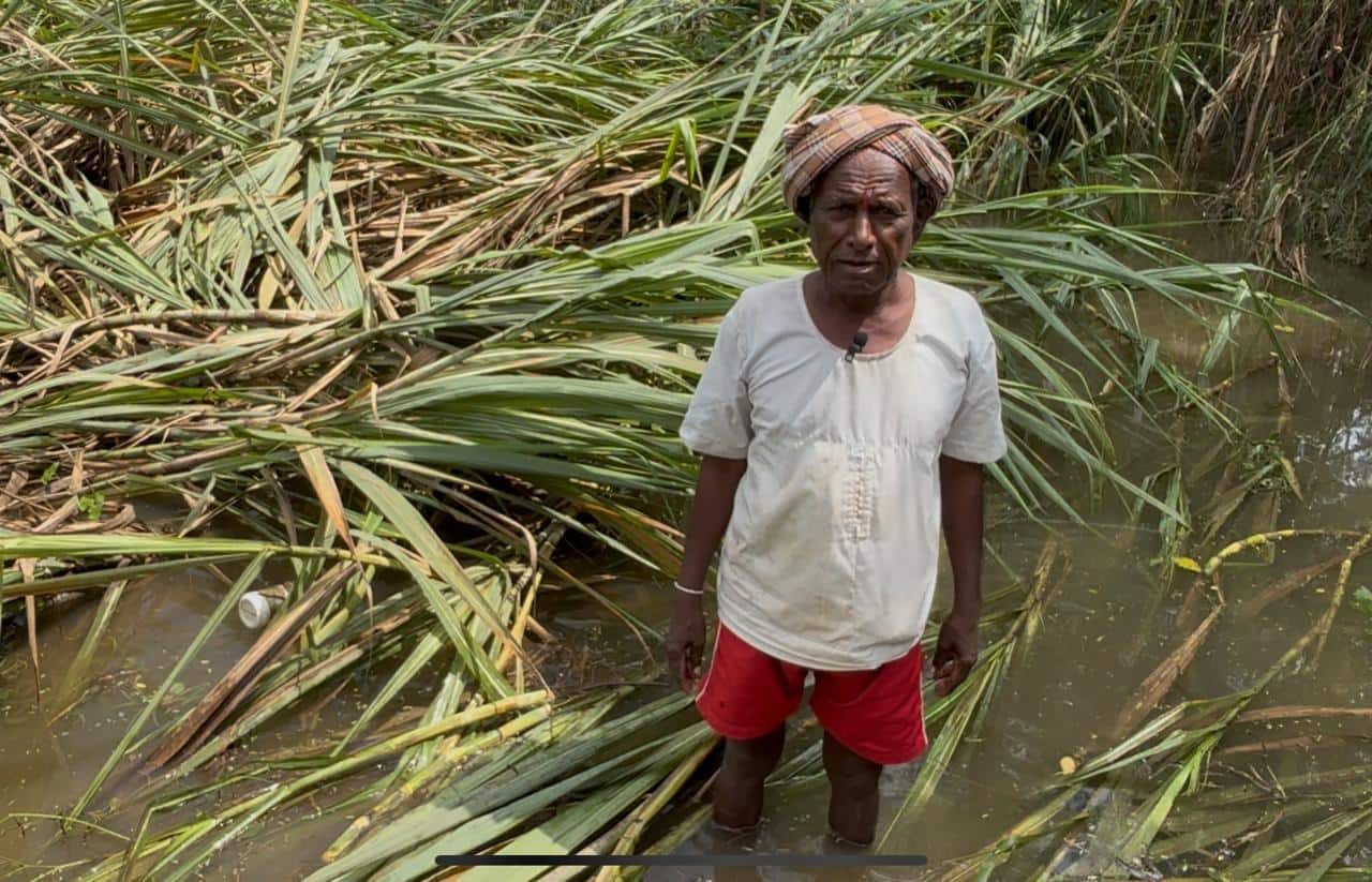 हाता तोंडाशी आलेला घास पुरानं हिसकावला, ऊसासह केळी जमिनदोस्त, शेतकऱ्याचं 25 लाख रुपयांचं नुकसान