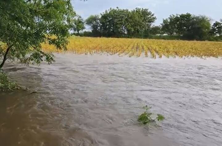 सरसकट पंचनामे करत  सरकारकडून तात्काळ मदत मिळावी अशी मागणी शेतकऱ्यांनी केली आहे.