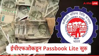 EPFO कडून UAN च्या मेंबर इंटरफेस पोर्टलमध्ये नवे बदल, एकाच वेबसाईटवर पासबूकची माहिती उपलब्ध होणार , Passbook Lite वर कोणत्या सेवा मिळणार