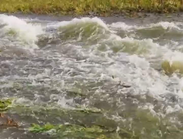 पावसामुळे नदी नाले तुडुंब भरुन वाहत आहेत. शेतात पाणीच पाणी साचलं आहे.