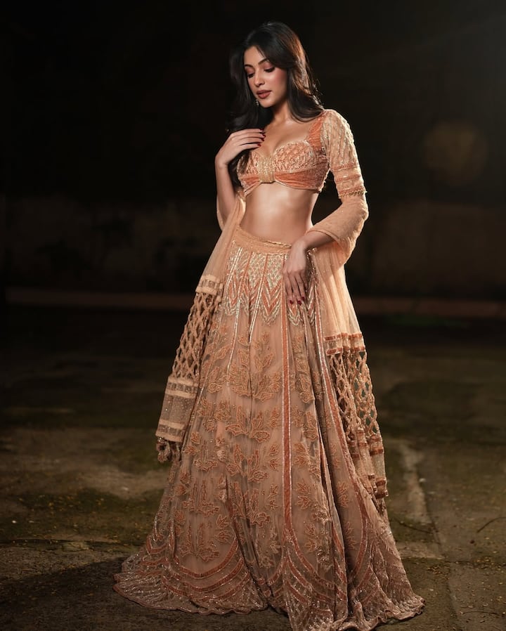 On the other hand, if we talk about the normal looks of Sahar, then in this picture, Sahar has carried a lehenga with golden and peach combination in which she is looking beautiful of Bala. This traditional look in nude makeup and open hair is worth seeing.