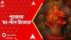 Durga Puja 2025: এবছর ৮০ বছরে পা দিতে চলছে আলিপুর সর্বজনীন, এবারের থিম- 'চা-পান উতোর'
