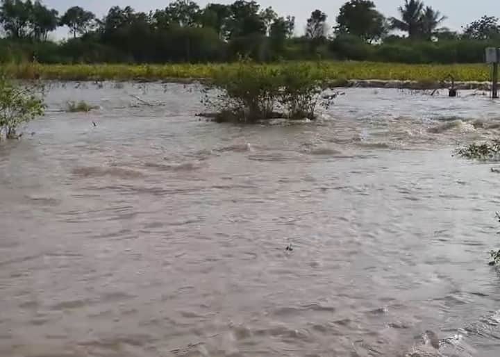 मुसळधार पावसामुळं नदी नाल्यांना पूर आले आहेत. शेतात पाणी शिरल्यानं उभी पिकं संकटात सापडली आहेत.