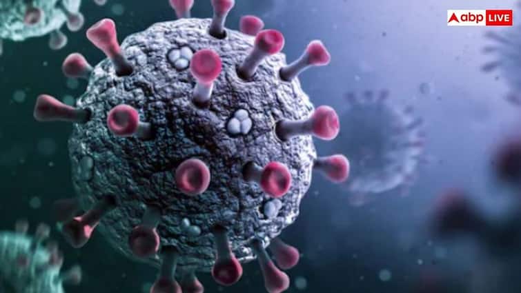 H3N2 Flu Prevention: दिल्ली में तेजी से फैल रहा H3N2 वायरस, जान लीजिए इससे बचने के तरीके