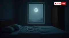 ਇਹ ਹੈ ਦੁਨੀਆ ਦਾ ਸਭ ਤੋਂ ਸ਼ਾਂਤ ਕਮਰਾ, ਜਿੱਥੇ ਇਨਸਾਨ ਸੁਣ ਸਕਦਾ ਆਪਣੇ ਦਿਲ ਦੀ ਧੜਕਣ