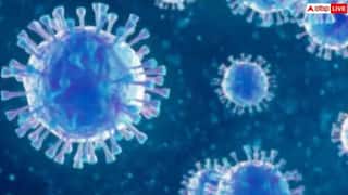 Viral Flu Symptoms: વાયરલ ફ્લૂનો વધી રહ્યો છે ખતરો, આ લક્ષણોને ભૂલથી પણ ન કરો નજરઅંદાજ