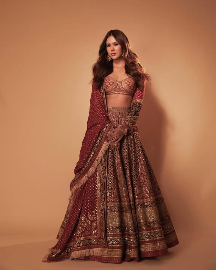 Sonam is seen in traditional and royal style in this look. He is wearing a heavy embroidered maroon-gold lehenga, which is styled with a matching blouse and a dupatta. Open wavy hair, minimal jewelery and neutral makeup are balanced by their look. The entire look is giving Rich, Royal and Festive Vibes.