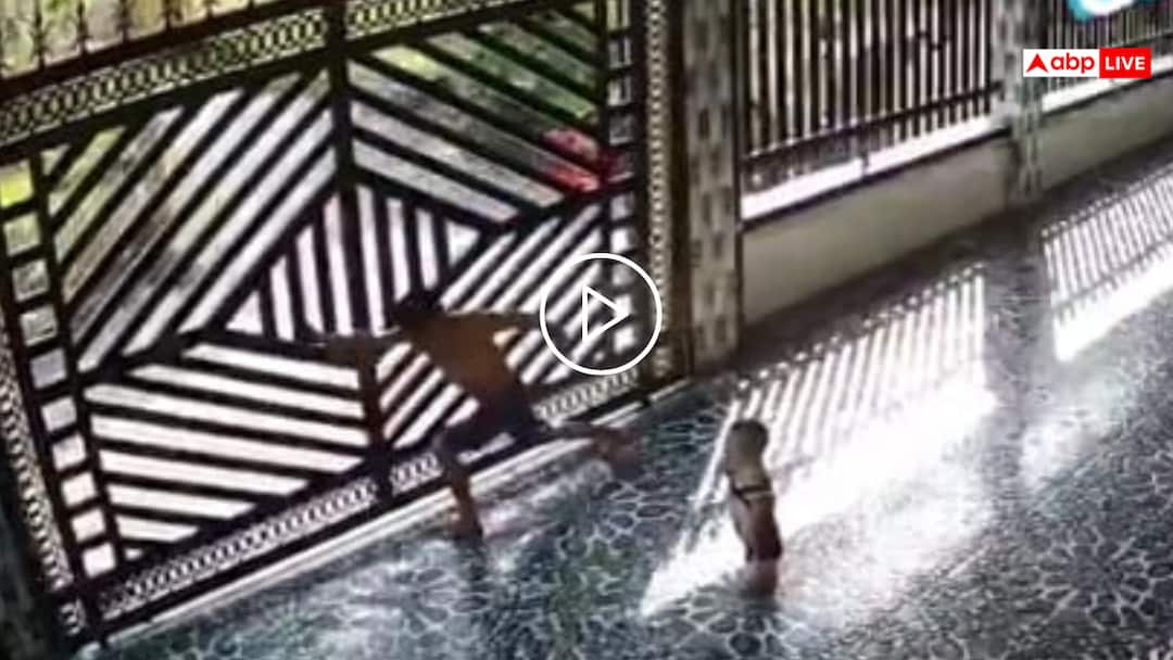 Video: जान हलक में आ गई! भारी भरकम लोहे के गेट के नीचे दब गए बाप-बेटे, वीडियो वायरल A heavy gate suddenly fell on a man and a small child watch the shocking viral video Video: जान हलक में आ गई! भारी भरकम लोहे के गेट के नीचे दब गए बाप-बेटे, वीडियो वायरल