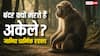 Death About Monkey: बंदर हमेशा अकेले में ही क्यों मरते हैं? जानिए वानर सेना ने रामजी से कौन-सा वरदान मांगा था?