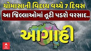 Gujarat Rain Forecast: ગુજરાતમાં આગામી 7 દિવસ મેઘરાજા કરશે જમાવટ!