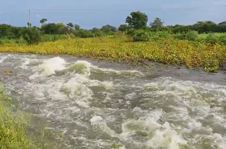 धाराशिवमधील गोपळवाडी परिसरात तुफान पाऊस झाला आहे, यामुळं सोयाबीन शेतीला तळ्याचे स्वरुप आलं आहे.