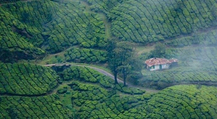 South India Travel Destination: દક્ષિણ ભારતમાં વિશ્વના કેટલાક સૌથી સુંદર હિલ સ્ટેશનો આવેલા છે, અને તેના મંદિરો વિશ્વભરના મુલાકાતીઓને આકર્ષે છે. ચાલો અમે તમને તેમના વિશે જણાવીએ.