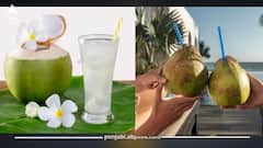 ਰੋਜ਼ਾਨਾ 21 ਦਿਨ ਤੱਕ ਨਾਰੀਅਲ ਪਾਣੀ ਪੀਣ ਨਾਲ ਸਿਹਤ ਅਤੇ ਚਮੜੀ ਨੂੰ ਮਿਲਦੇ ਆਹ ਫਾਇਦੇ, ਇੱਥੇ ਜਾਣੋ