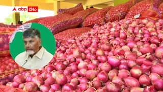 AP onion farmers: ఏపీ ఉల్లి రైతులకు హెక్టార్‌‌కు రూ.50వేలు - రూల్స్ ఏమీ లేవు.. పంట వేసిన అందరి అందరికీ సాయం!