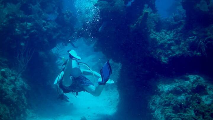 सावधानी और सुरक्षा की बात करें तो स्कूबा डाइविंग में सबसे बड़ा खतरा शरीर पर अचानक दबाव बदलने से होता है. जैसे-जैसे डाइवर गहराई में उतरता है, पानी का प्रेशर बढ़ता जाता है. अगर डाइवर बहुत तेजी से ऊपर आ जाए तो डीकंप्रेशन सिकनेस हो सकती है.