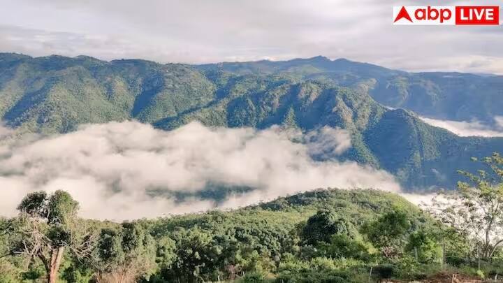 ઊટી (તમિલનાડુ) ને