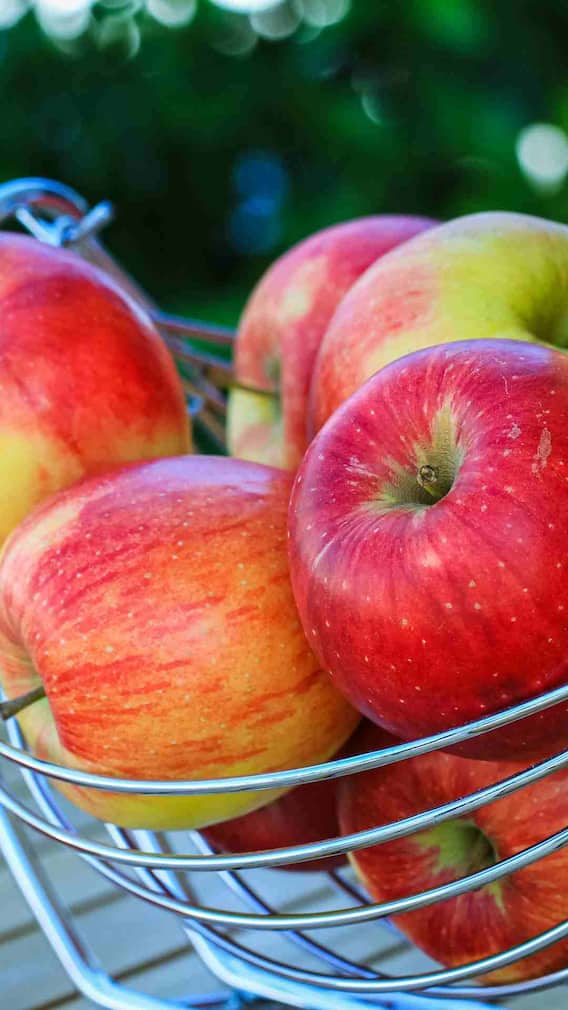 सफरचंद खाण्याची सर्वात योग्य वेळ कोणती?