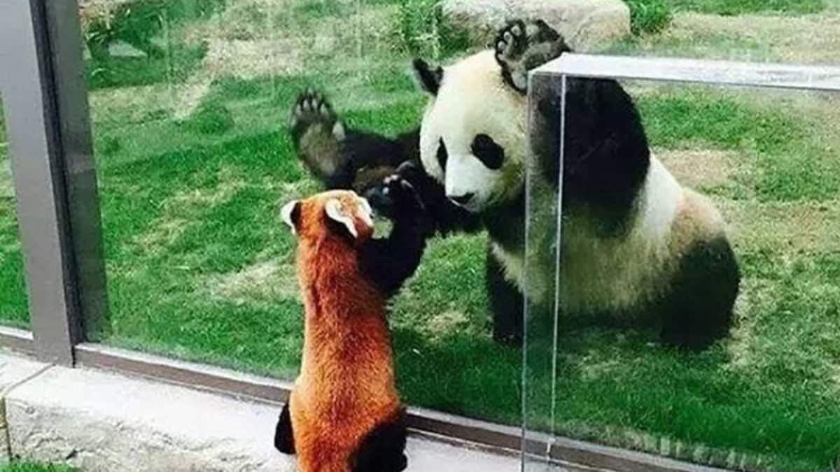 (Image Source: Pinterest/oyebilly)