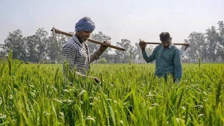 कई बार तकनीकी कारणों या दस्तावेजों में गड़बड़ी की वजह से कुछ किसानों को किस्त समय पर नहीं मिल पाती. ऐसे में अब उम्मीदें दिवाली से जुड़ गई हैं. जो किसान योजना में रजिस्टर्ड हैं और जिनके डॉक्यूमेंट सही हैं. उन्हें हर बार की तरह इस बार भी किस्त का लाभ मिलेगा.