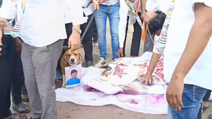 विधिमंडळातून आमदार पडळकर यांची हकालपट्टी करावी अशी मागणी यावेळी राष्ट्रवादी शरद पवार पक्षाच्या पदाधिकाऱ्यांनी केली.