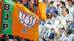 अजित पवारांच्या प्रचाराच्या छुप्या पॅटर्नचा भाजपला धसका, सरकारी यंत्रणा हाताशी धरुन दादांनी धुरळाच उडवला